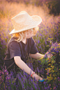 Young boy (6-7) picking lavender in field by RooM_the_Agency on 500px