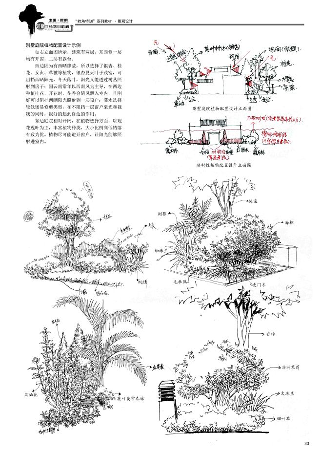 33植物组合