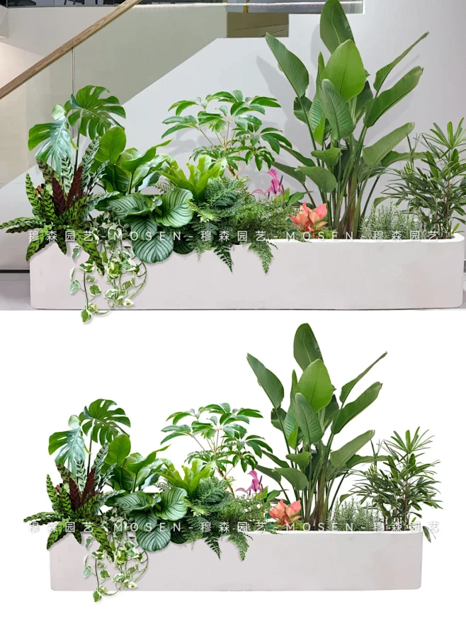 室内水泥花箱植物造景 沉浸式办公自然意境 - 小红书