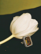 【杂志大片】Marie Claire France June 2021 法国嘉人6月刊配饰专题，雅致的植物花卉，华美的钻石珠宝，一组漂亮的静物拍摄。✨ 摄影: Mathieu Trautmann ​​​​