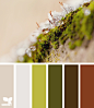 Design Seeds®: For All Who Love Color