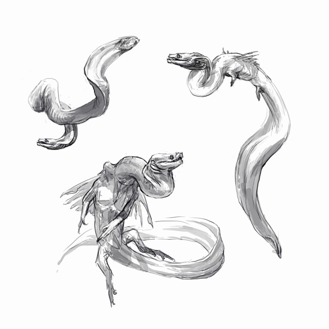 Hydra sketches