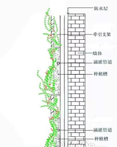 悠舞空灵采集到植物墙