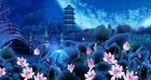 [中国风系列]唯美西湖夜景雷峰塔荷塘荷花...