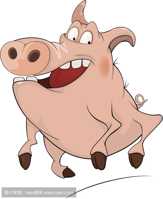 猪 Pig-花瓣网