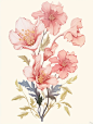 Mid journey——花卉插画（附关键词）