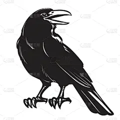 分离着色,插画,白色背景,Cape Rook,秘密,十月,野生动物,站,复古