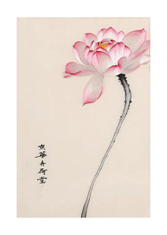 A渔菲采集到简图