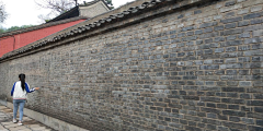 淡淡丫采集到走过路过错过