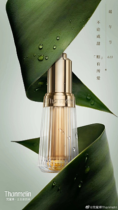airsong采集到手绘