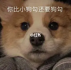 是你喜欢的可爱表情包吗？ : 刚才他们说等女生 只需要把车停在酒吧门口 我试了一下 结果被人扫码骑走了