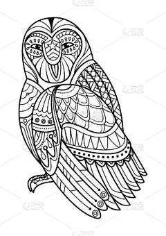 猫头鹰,动物手,彩色书,可爱的,华丽的,野生动物,动物,鸟类,绘制