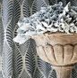 Thibaut - Wallpaper and Fabric