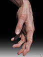 human anatomy~skin by zbrush