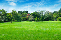 水道明采集到球场场景