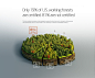 Forest infographics : Several infographic charts about american forestry. Agency: Bluetext; Art Director: Emily Boyer; Production: Anton Egorov.
