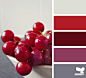 BerryHues