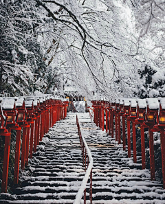 摸摸小鱼采集到素材-写生