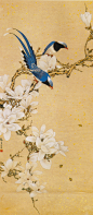 古典花鸟绘画图片