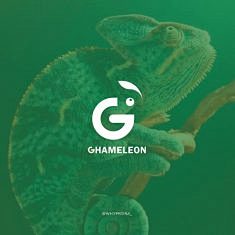 G + Chameleon 