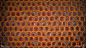 Honey Bee Larvae: Substance Designer, Daniel Robson : Substance Designer Bee Larvae Study - fully procedural.