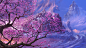 唯美樱花树梦幻游戏场景高清电脑桌面壁纸