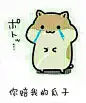 仓鼠系列拿去爽