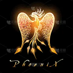 鸟类,凤凰,黑色背景,形状,黄色,红色,黑色,华丽的,概念,燃烧