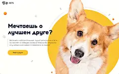 萌宠驾到！16个可爱宠物Banner设计