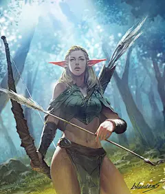弓箭手 射手 精灵 