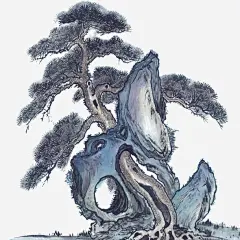 松树