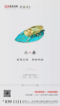 森野万叶采集到小暑