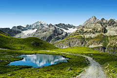 红茶tee采集到风景