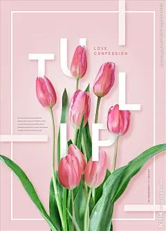 韩风时尚鲜花海报背景图片下载