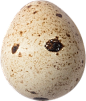 1-(8)_0029s_0000_Egg