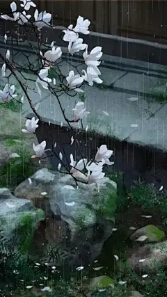 水彩--玉兰花 - 高清图片，堆糖，美图壁纸兴趣社区