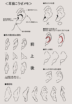 是小师妹呀采集到A【参考】生物体结构