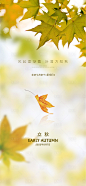 立秋节气海报-源文件