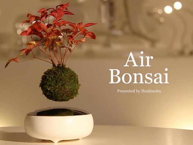 Air Bonsai 磁悬浮空中盆景 -...