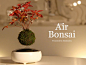 Air Bonsai 磁悬浮空中盆景 - KnewOne