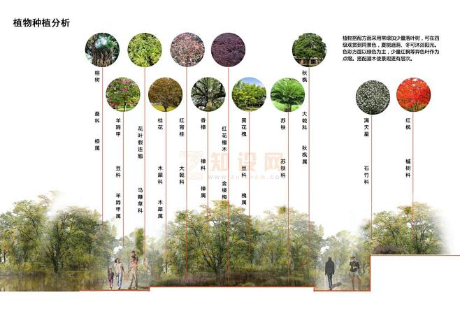 植物种植设计分析图 - PS素材 - 知设网