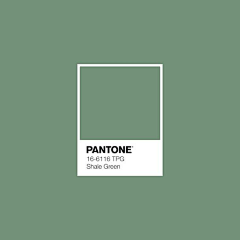 罗菩堤rowe采集到【色谱】PANTONE