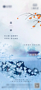 【素材能量站】海报 地产 二十四节气 霜降 柿子 意境 霜花|963681 