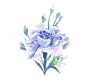 摄图网_401819579_蓝色花朵绿枝和叶元素（非企业商用）
