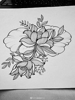 月朦胧q采集到装饰      黑白插画