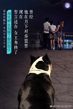 魔菇哒哒哒哒哒哒采集到文案