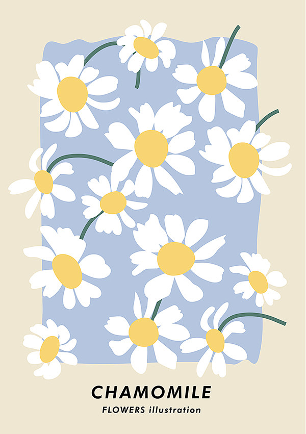 小众花朵插图抽象海报北欧小清新植物花卉插...