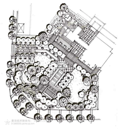 齐尚景观-庭院/文旅采集到景观设计手绘/线稿/手绘学习