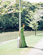 Photography by Leslie Zhang 好舒服的画面 好喜欢 ​​​​