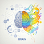 Brain functions concept infographic symbolic depiction with left side logic science mathematics right arts creativity